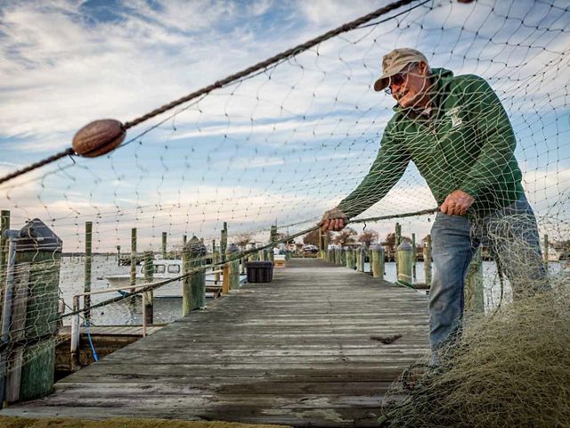 A man stands on a wooden pier pulling in and stacking a net. Small fishing boats are tied up to the pier in the background.