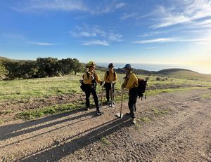 Three burn practitioners in yellow jackets stand on a trail in preparation of a controlled burn.