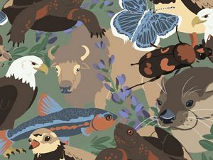 An illustration of a collage of animals.