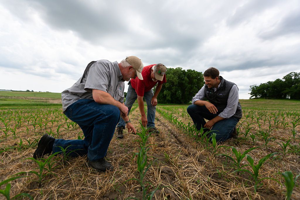 Two agronomists and a farmer inspect a field.
