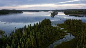 Aerial view of undeveloped woods and waters in northern Minnesota.
