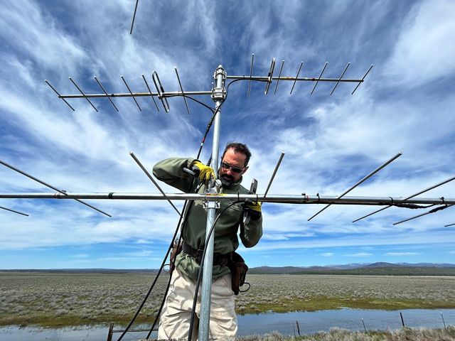 A man uses tools to set up poles and equipment with a wetland area behind him.