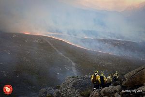 Fire Line
