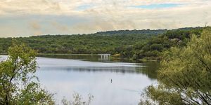 A lake surrounded by dense, green vegetation and brush.