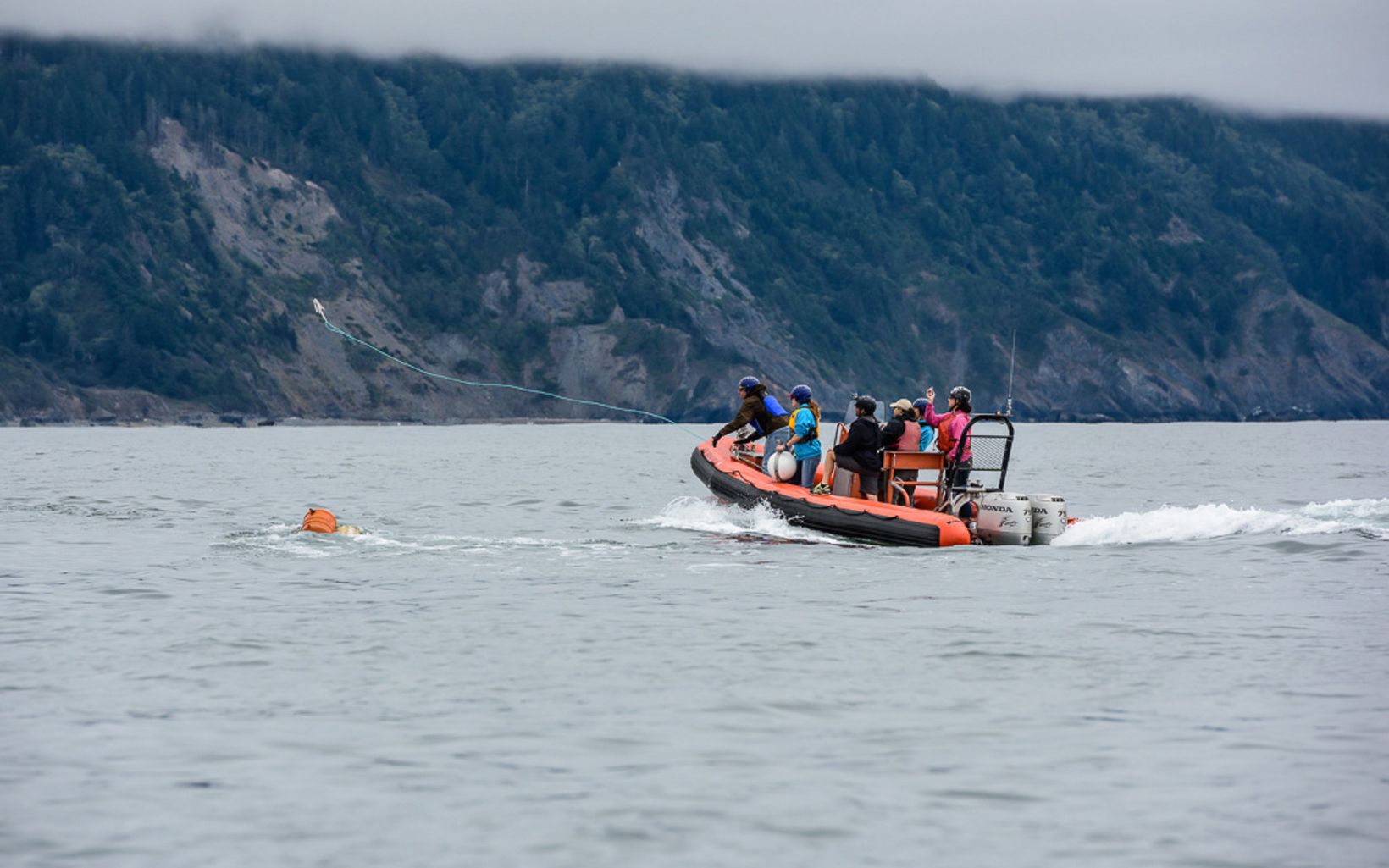 A group of people in an orange inflatable dinghy. One of them is in the process of throwing out a line in the direction of a crab pot buoy in the water.