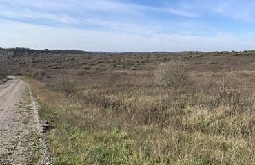 A brownfield with a dirt trail under a blue sky.