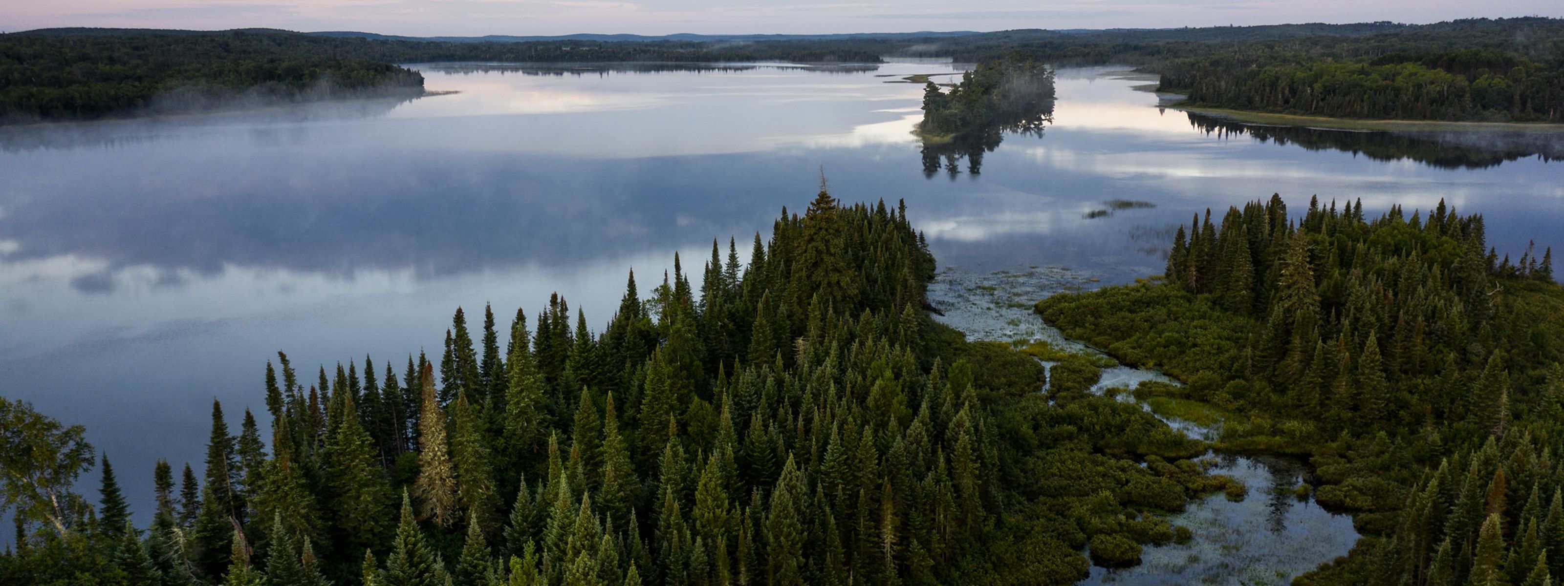 Aerial view of an undeveloped freshwater lake surrounded by forest.