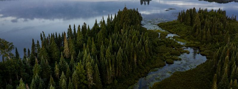 Aerial view of an undeveloped freshwater lake surrounded by forest.