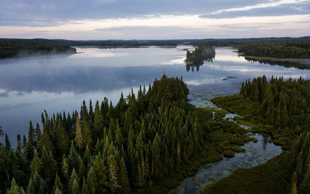 Birds-eye view of the towering trees and meandering waterways of the Superior National Forest in Minnesota providing climate resiliency and protections for people and nature.