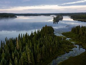 Aerial view of a wide, flat body of water with branches that meander through thick, forested lands.