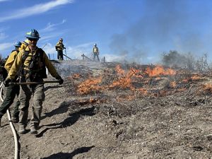 Firefighters in yellow jackets hold axes and walk a trail next to a low burn.