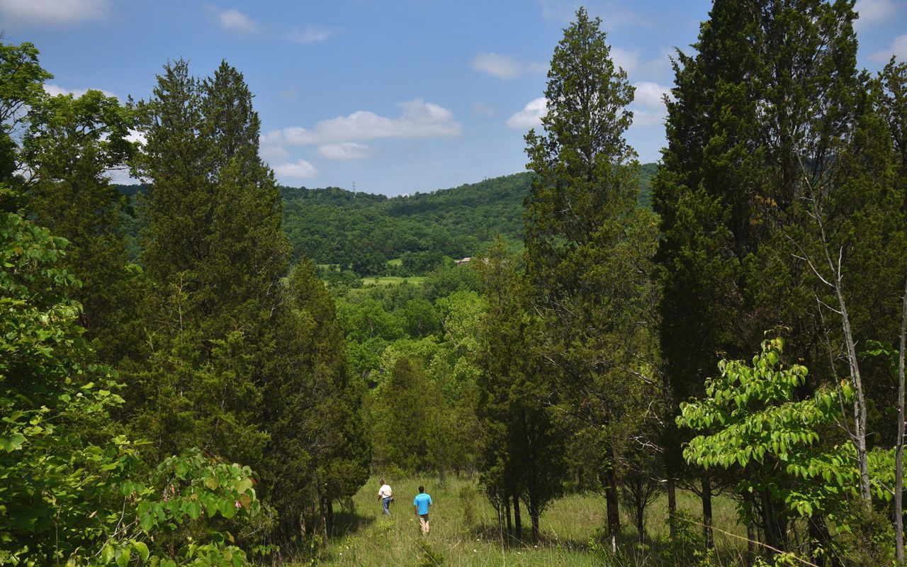 Edge of Appalachia Joan Jones Portman Trail