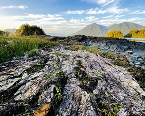 A valley with a river and mountains.
