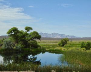View of green trees in the desert with a small body of water in the foreground, mountains in the distance, and blue sky overhead.