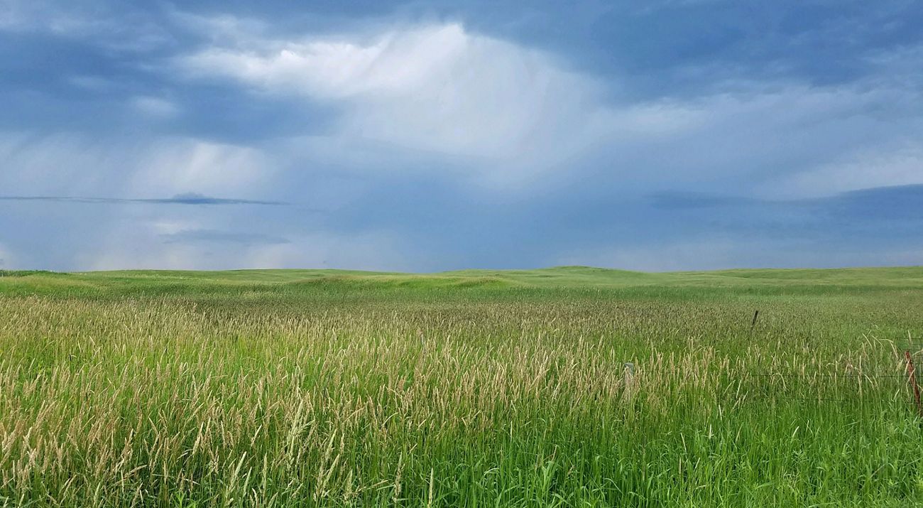 Thunderstorm © Joe Blastick/TNC