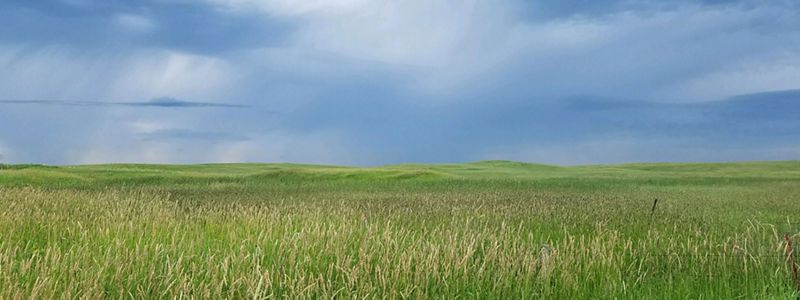 Thunderstorm on the horizon viewed with expansive rolling grasslands in the foreground.
