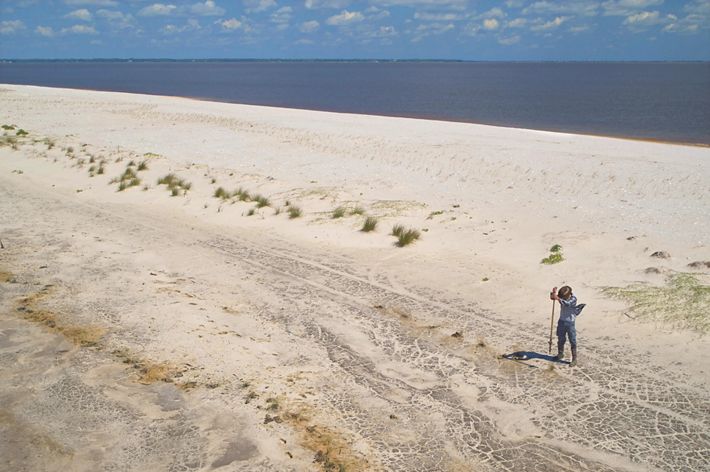 A man stands alone on a wide stretch of beach, using a long-handled tool to create holes to plant sea oats. The blue waters of the Gulf stretch behind him to the horizon.