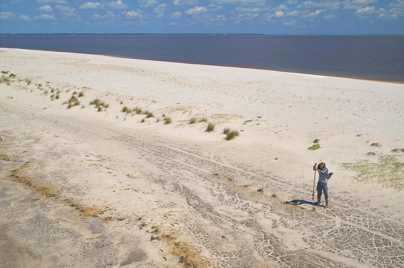 Members of The Nature Conservancy plant sea oats along the shore of Round Island, a few miles offshore of Pascagoula, Mississippi.