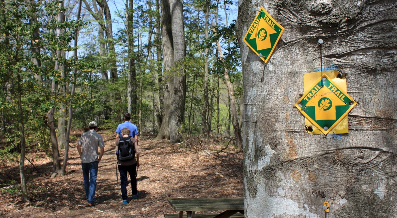 Three people walk past a picnic table following a leaf covered path into a thick green forest. A yellow and green trail blaze sign nailed to a tree marks the way forward.