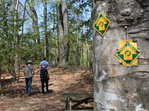 Three people walk past a picnic table following a leaf covered path into a thick green forest. A yellow and green trail blaze sign nailed to a tree marks the way forward.