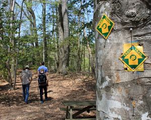 Three people walk past a picnic table following a leaf covered path into a thick green forest. A yellow and green trail blaze sign nailed to a tree marks the way forward.