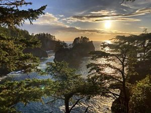 islands in the ocean as seen through trees.