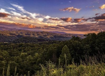 A view from a lush mountainside, overlooking numerous hills densely covered with greenery, with a cloudy sky overhead.