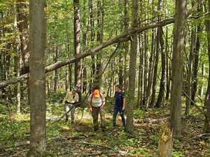 TNC Staff in newly acquired 97 acres in Maryland