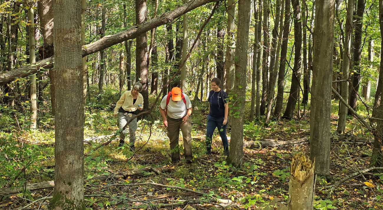 A picture of three TNC staff members.