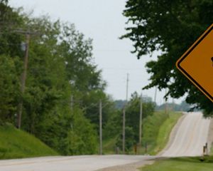 An image of a deer crossing sign next to a highway.