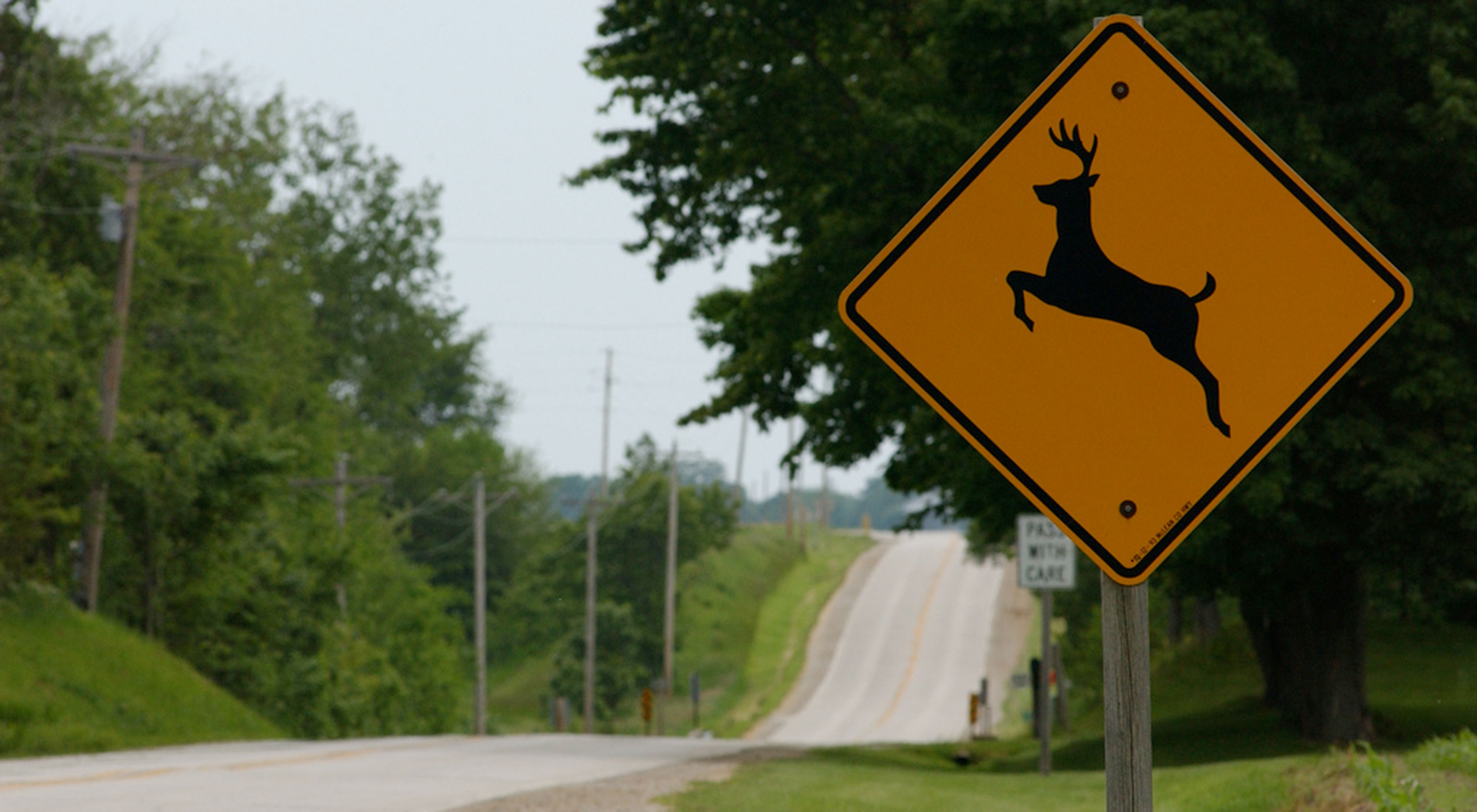 An image of a deer crossing sign next to a highway.