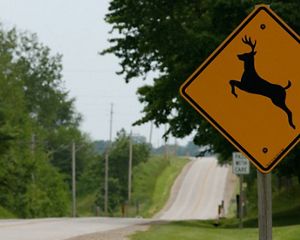 An empty road lined by trees and a caution sign with the image of a leaping deer on it.
