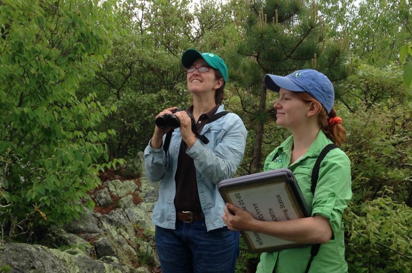 Two women in a forest clearing counting birds as part of a monitoring study. One holds a pair of binoculars in her hands while looking up into the trees. The second woman holds a large clipboard.