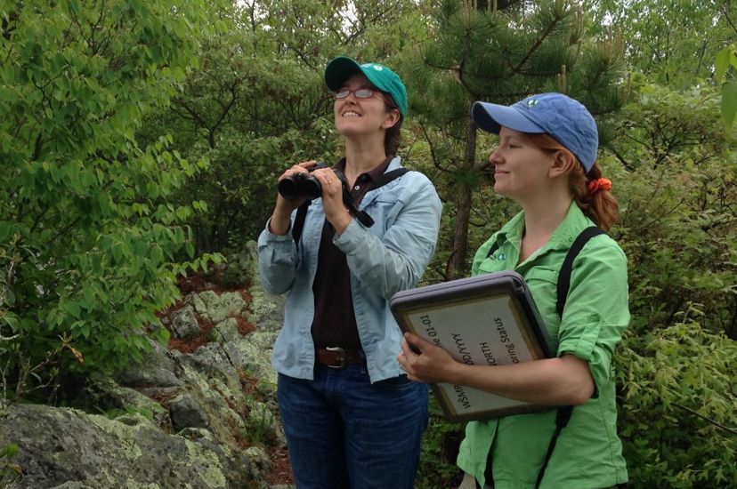 Two women conduct a bird monitoring count. One holds a pair of binoculars in her hands while looking up into the trees. The other holds a large clipboard to record observations.