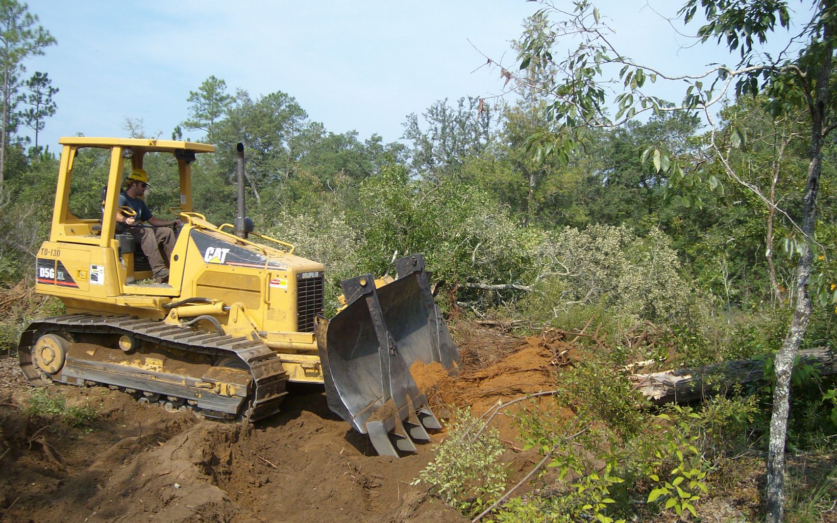 Heavy equipment is used to remove windrow (vegetation on the ground) prior to groundcover restoration at Apalachicola Bluffs and Ravines Preserve.