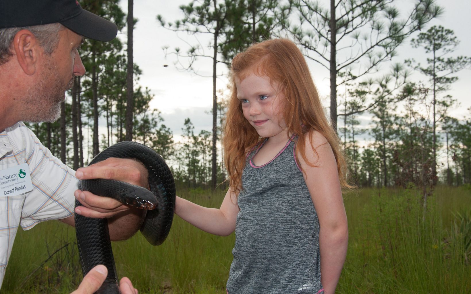 A young child observes an Eastern Indigo Snake at Apalachicola Bluffs and Ravines Preserve. 