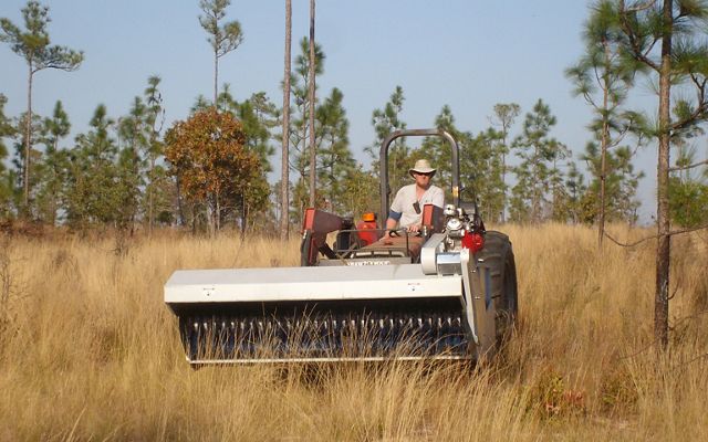 A tractor is used to collect native groundcover seed mix for future planting at Apalachicola Bluffs and Ravines Preserve.