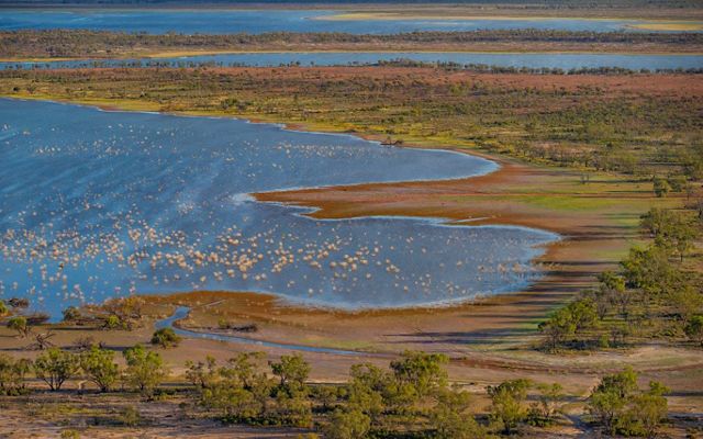 With TNC's help, the wetlands at Bringdingabba Station in northern New South Wales, are now part of a new Australian national park. 