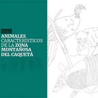 Presenta 14 especies de mamíferos y tres especies de aves características del piedemonte caqueteño, con información de su biología, ecología y estado de conservación.