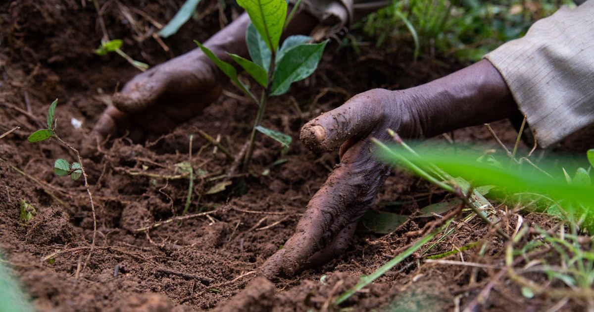 Food, Climate & Regenerative Farming FAQ