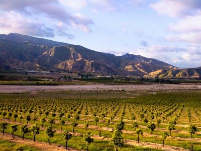 The Nature Conservancy has played a large role in protecting the Santa Clara River and its tributaries in Southern California.