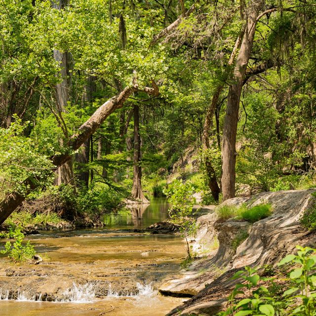 Water from a creek flows over limestone boulders surrounded by dense brush.