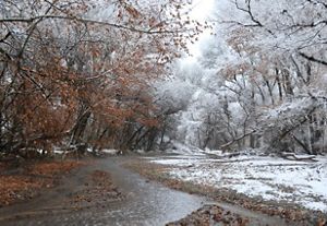 The Nature Conservancy in Arizona