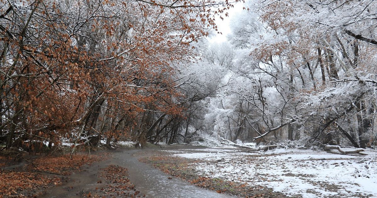 The Nature Conservancy in Arizona