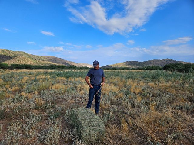 A man with a blue shirt and a blue hat stand beside a bail of hay on a sunny day.