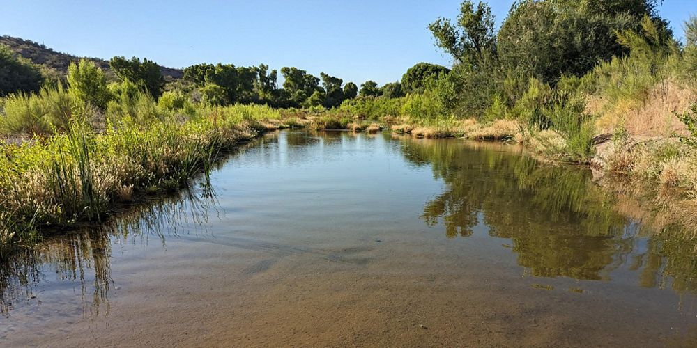 View of a river during the daytime with lush trees and vegetation around it.