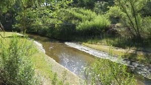 View of a narrow river reflecting the sunlight with lush trees and vegetation surrounding it.