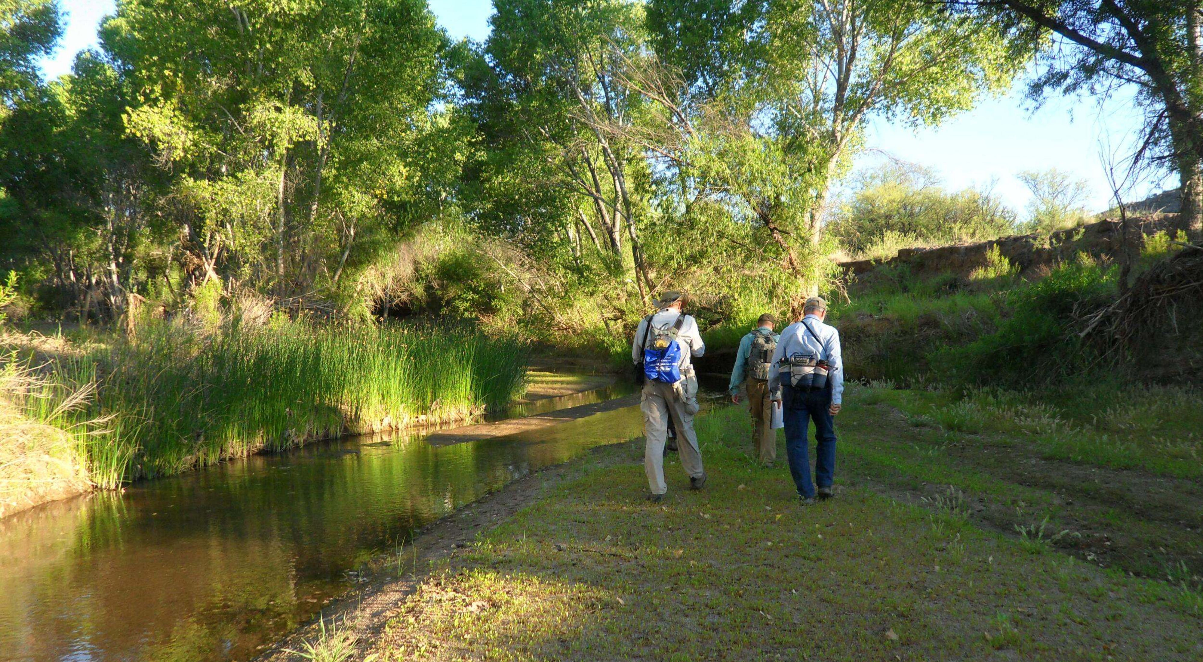 Three individuals with mapping gear walk away from the camera, along a stream of water to their right.