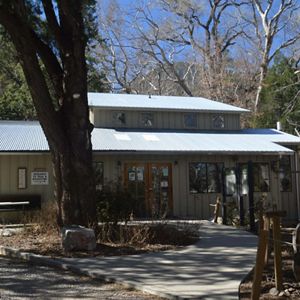 View of the visitor center building with a large tree in front and smaller trees behind it.