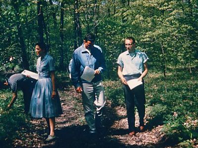 Four people standing in the forest with clipboards.